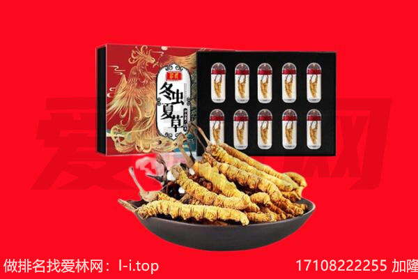 阿坝县回收虫草.jpg